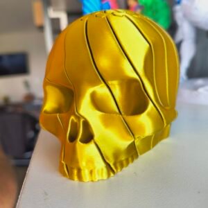 crânio articulado (dual color)