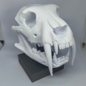 e3bfa26a 04e1 498d 91fa fcee83e5c564.jpg